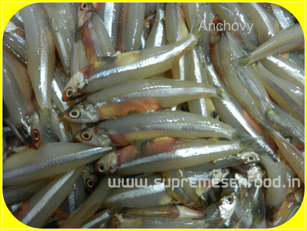 Sea Water Anchovy Nethili Fish, For Household, Packaging Type: Box