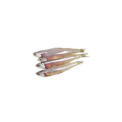 Anchovy Fish, Packaging Type: Thermocol Box