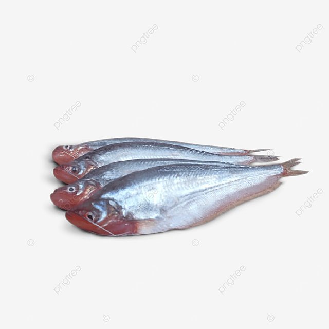 For Cook PABDA FISH