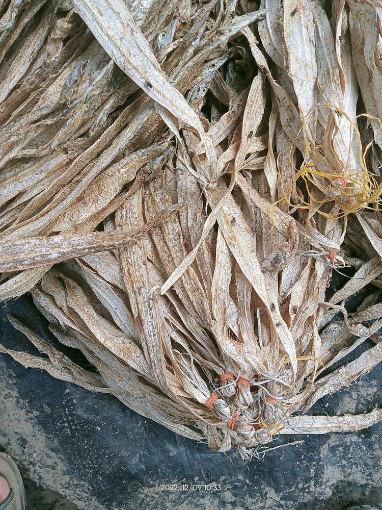 2 Dry Ribbon Fish
