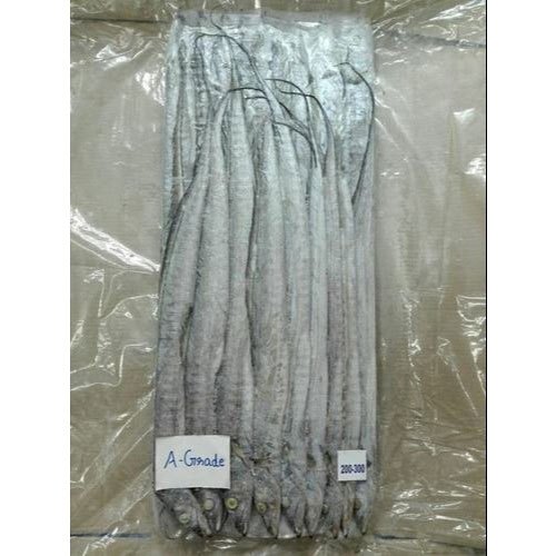 Frozen Ribbon Fish, Packaging Type: Thermocol Box