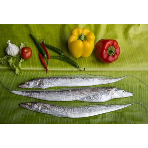 Ribbon Fish, Packaging Type: Packet And Thermocol Box