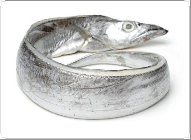 Fresh Ribbon Fish, Packaging Type: Thermocol Box