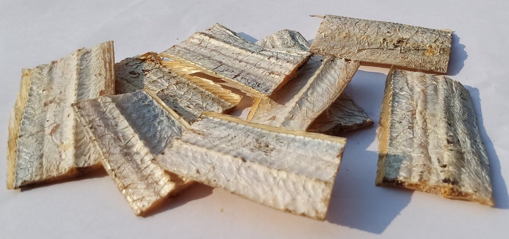 Dry Big Ribbon Fish, Packaging Type: Sealed Airtight plastic Bag, Trichiurus Lepturus (linnaeus)