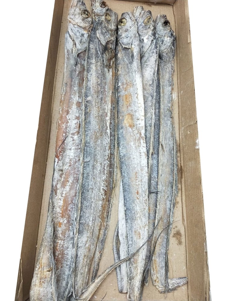 Dry Ribbon Fish, Packaging Type: Box