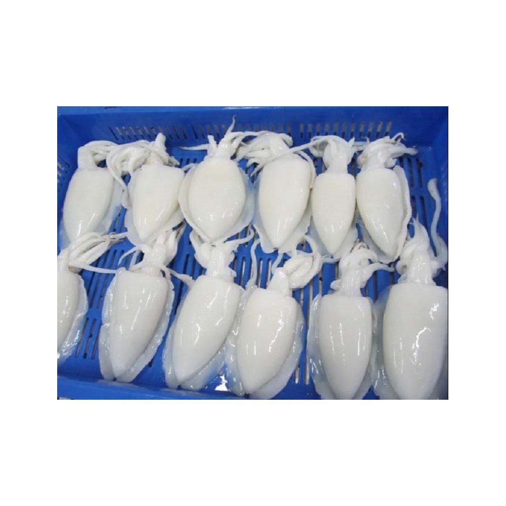 Small Sea Cuttlefish, For Restaurant and Hotel, Packaging Type: Box