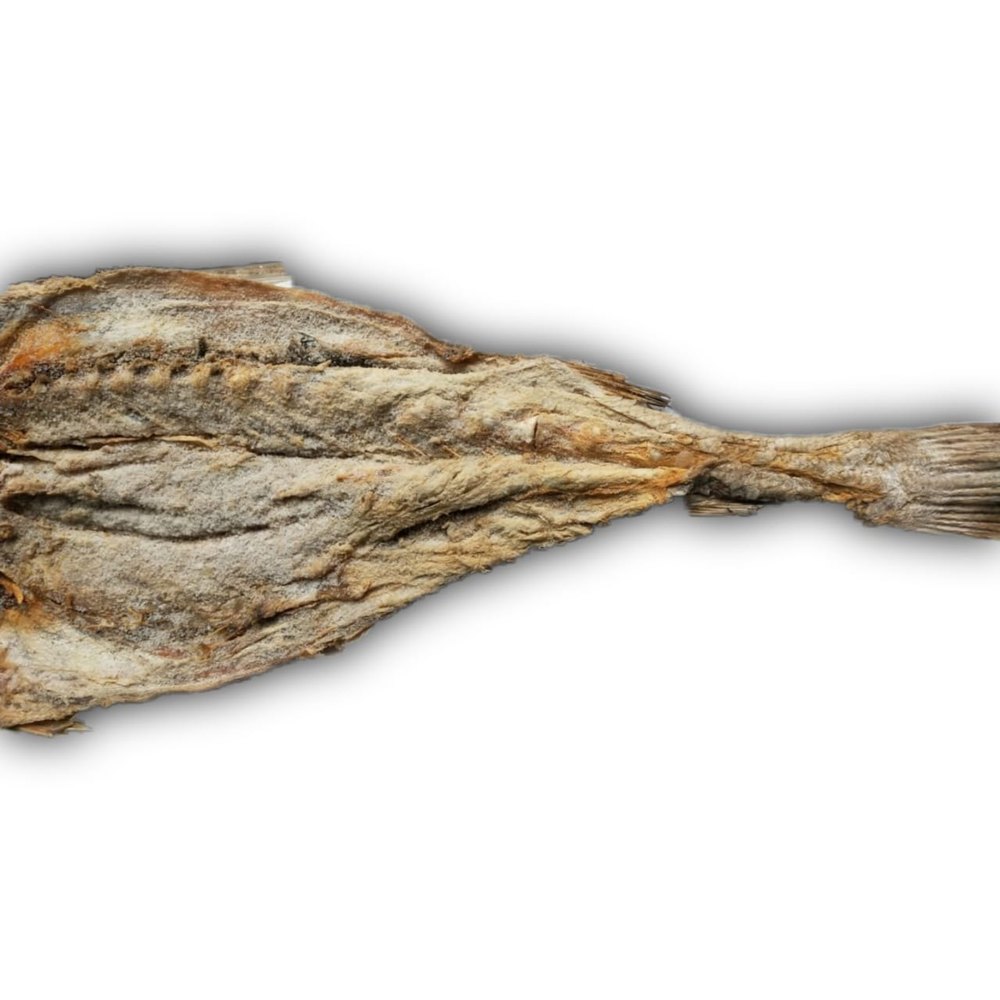 NJBHAGAT Silver Dry Ghol Fish