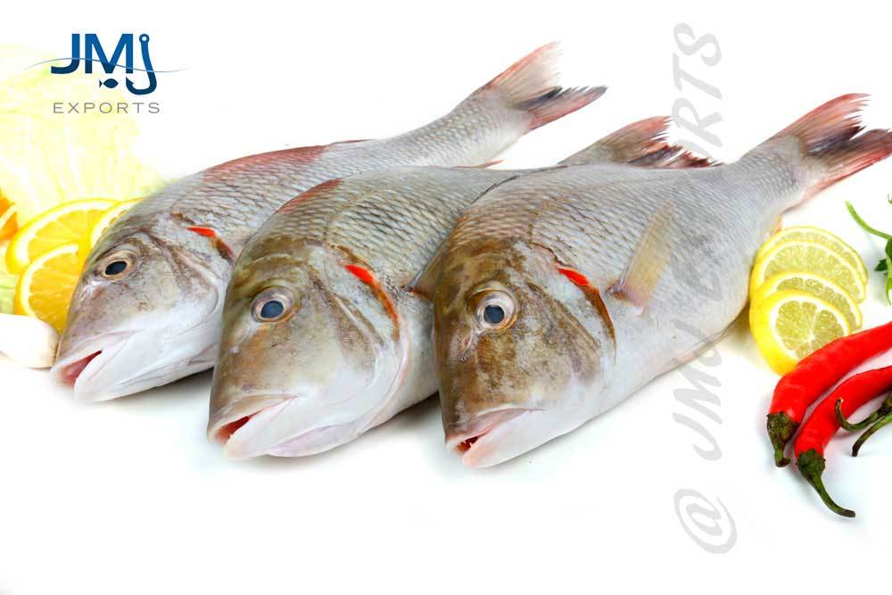 Hook Catch Emperor Fish, Packaging Type: Individual Vacuum Pack
