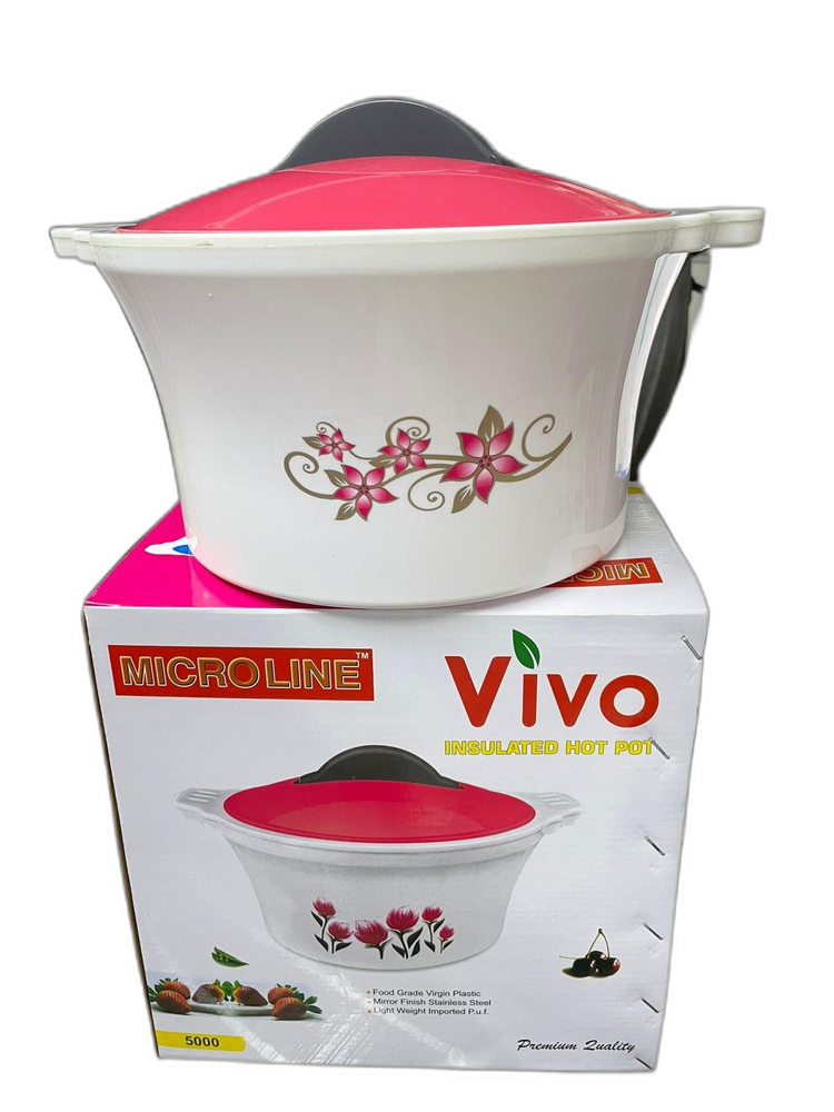 Vivo Plastic 5000Ml Hot Box, For Home