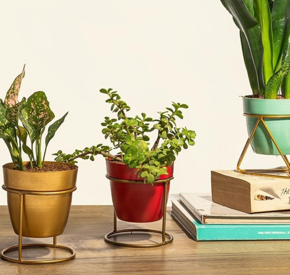 Coated Brass Pot