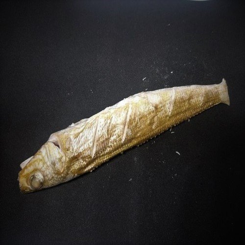 Freeze-Dried Lady Fish/ Kane, Packaging Type: Pastic