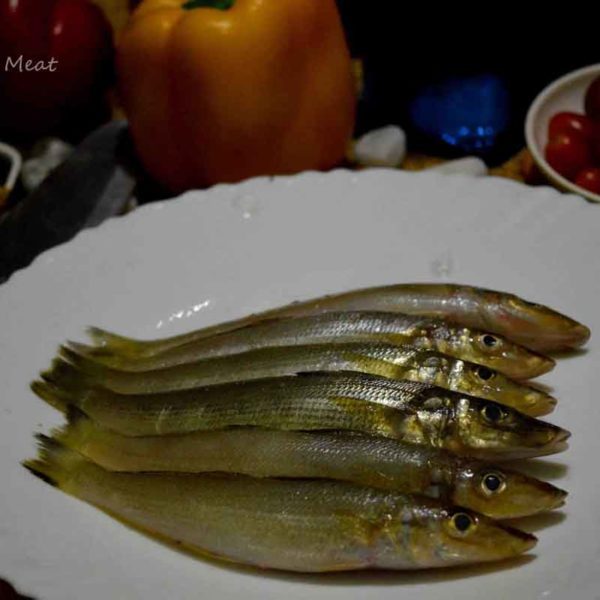 Lady Fish