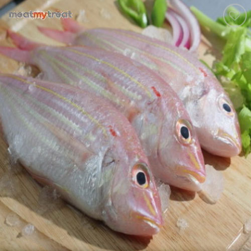 Pink Perch