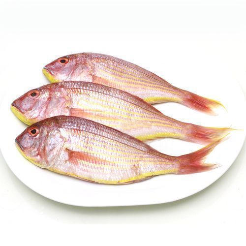 Pink Perch Fish, Usage: Restaurant, Household, Mess