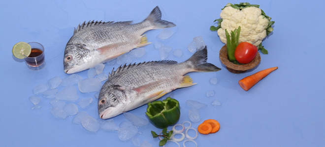 Frozen Black Sea Bream