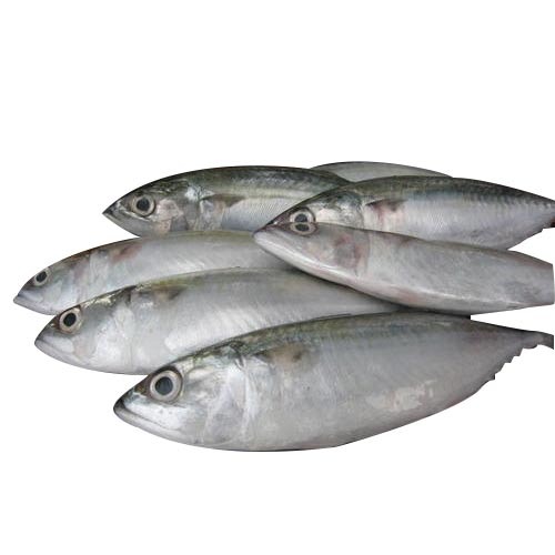 Silver Fresh Sea Fish, 5 Kg, Packaging Type: Packet