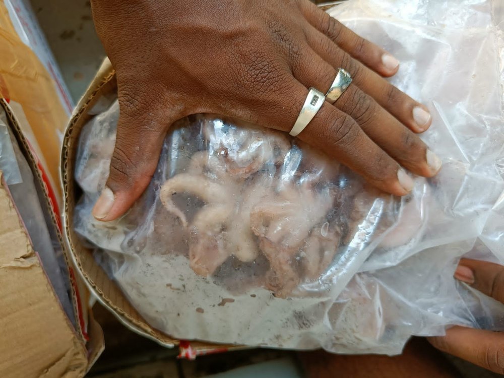 White Frozen Octopus, Packaging Type: Thermocol Box