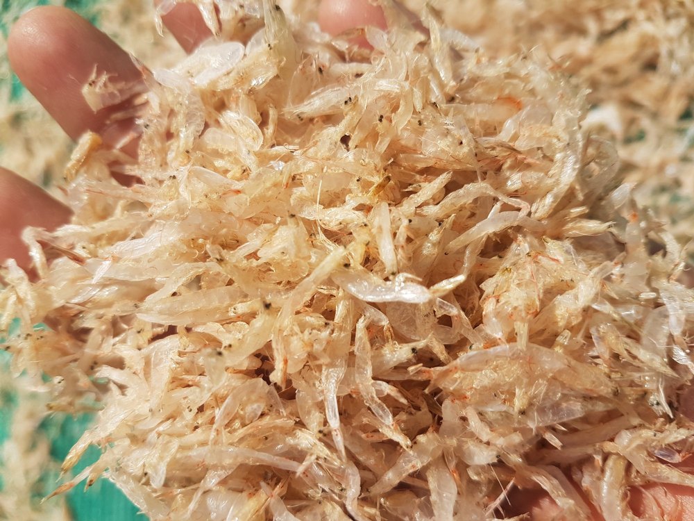 Jawla Fish, 5%, Packaging Type: Gunny Bag