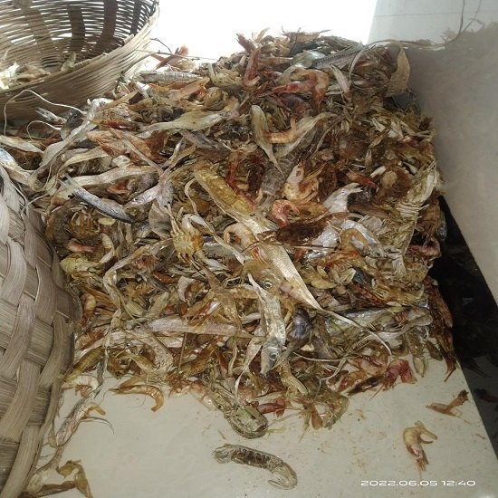 DRIED FISH MIXED FOR FEED, Packaging Type: Bag