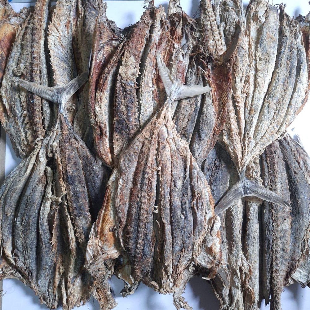 Brown Tuna-Dried-Fish, Packaging Type: Box