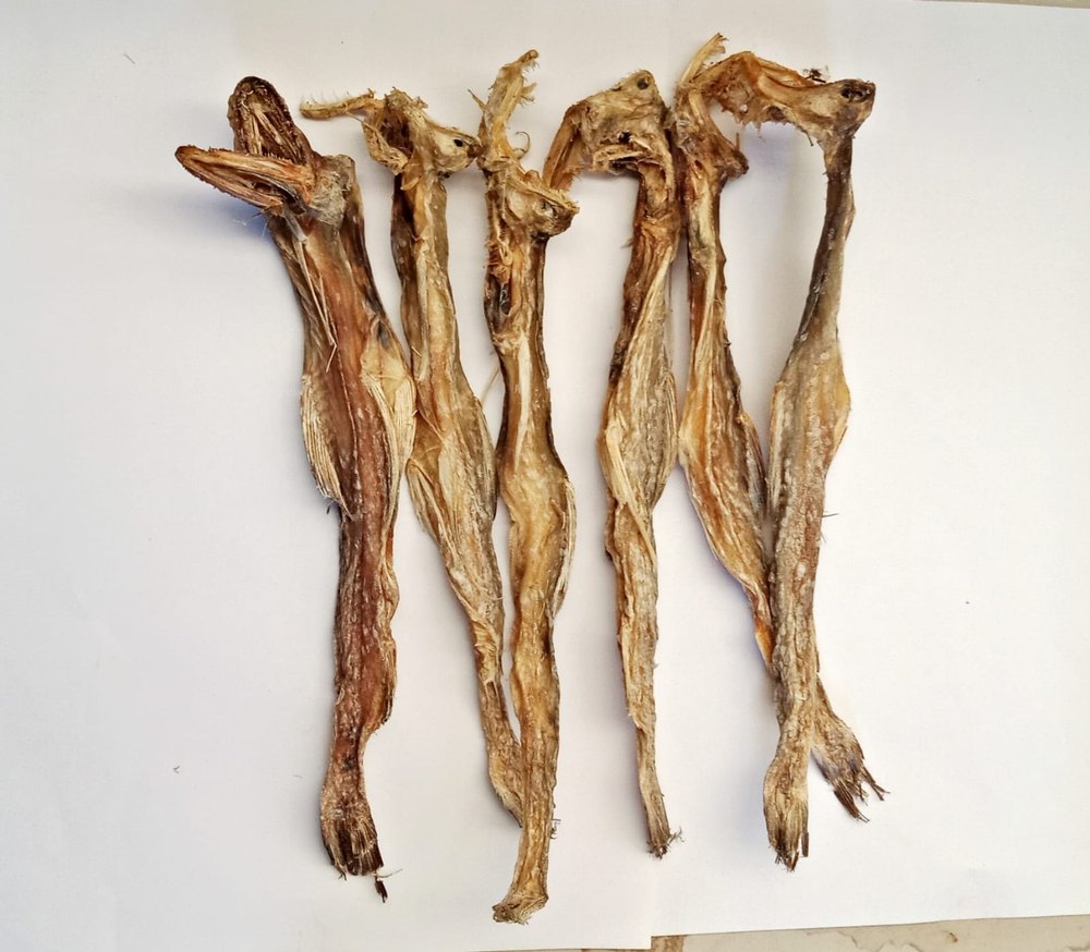 Dry Bombay Duck Fish