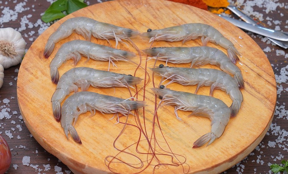 Vannamei Shrimp
