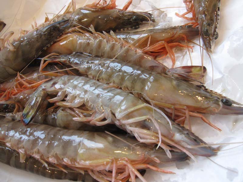 Silver Sea Jumbo Prawns, For Household, 1