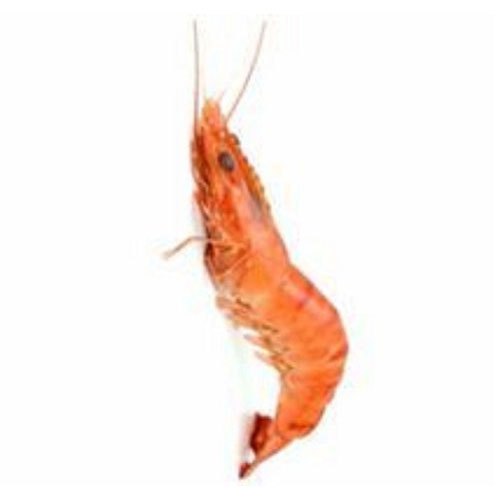 Light Red Fresh Caridean Shrimp, For Cooking, Packaging Type: Box