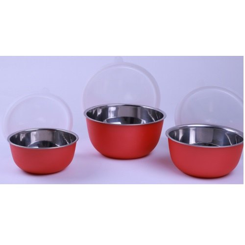 Plastic, SS Glossy Plastic Coated Euro Bowl Set, Packaging Type: Box