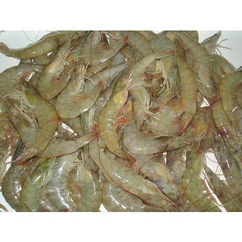 Brown Frozen Vannamei Prawn, For Household, Packaging Type: Polythene Bag
