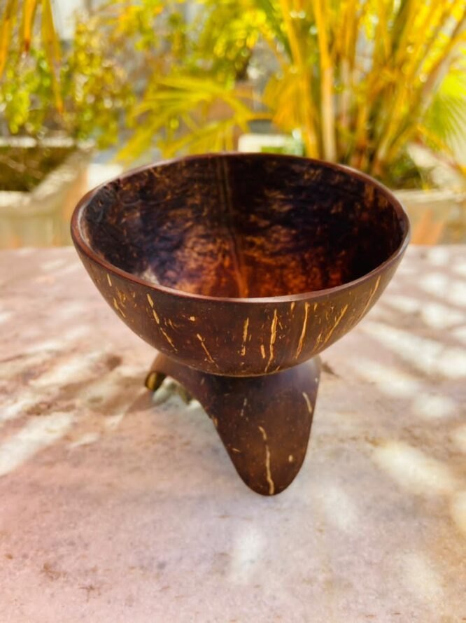 Natural Coconut Shell Ice Cream Cup