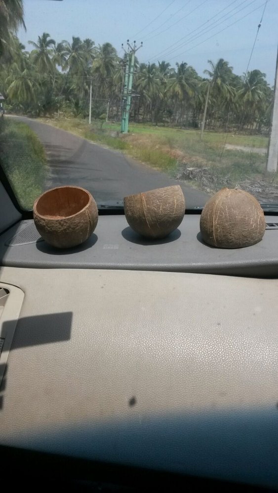 Macto Coconut Shell Ice Cream Cup