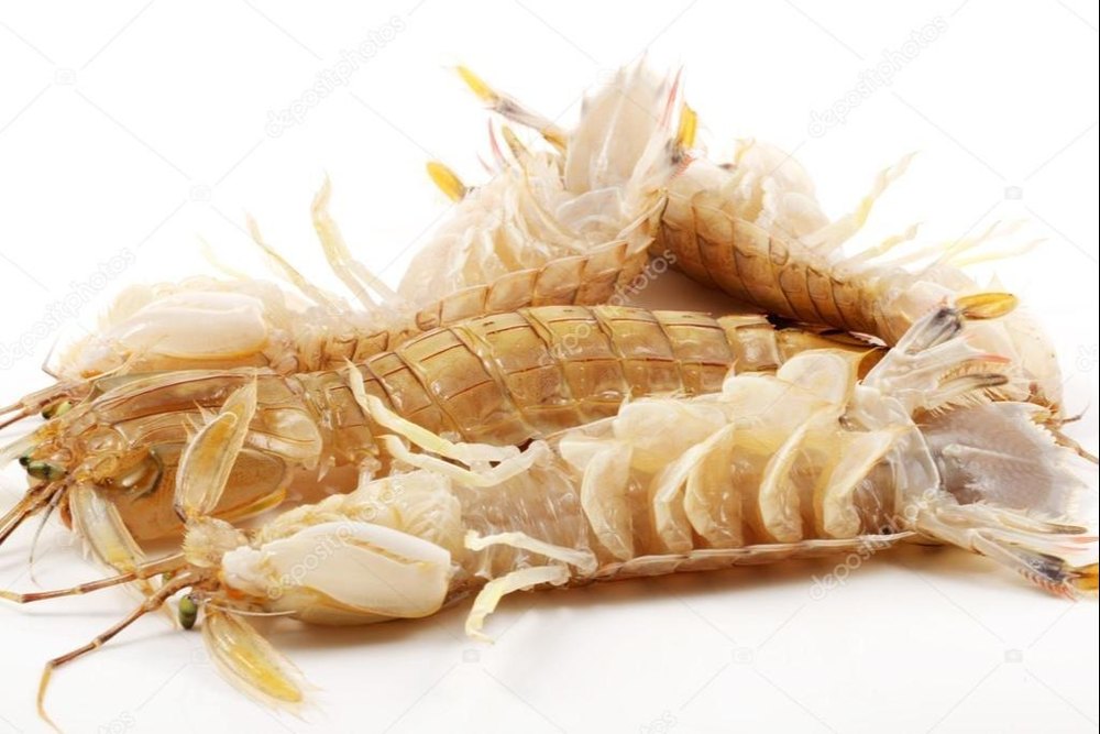 White Prawns PDTO 25-30 Count IQF for Restaurant