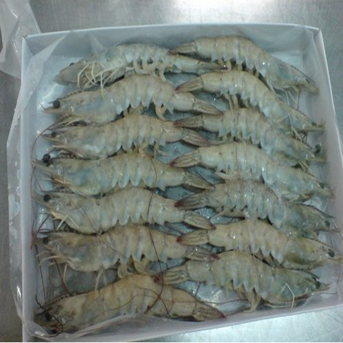 Vannamei Prawn Fish, Usage: Restaurant, Household