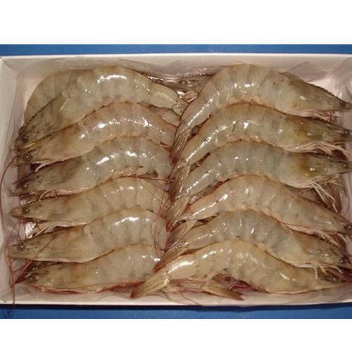 Vannamei Prawn