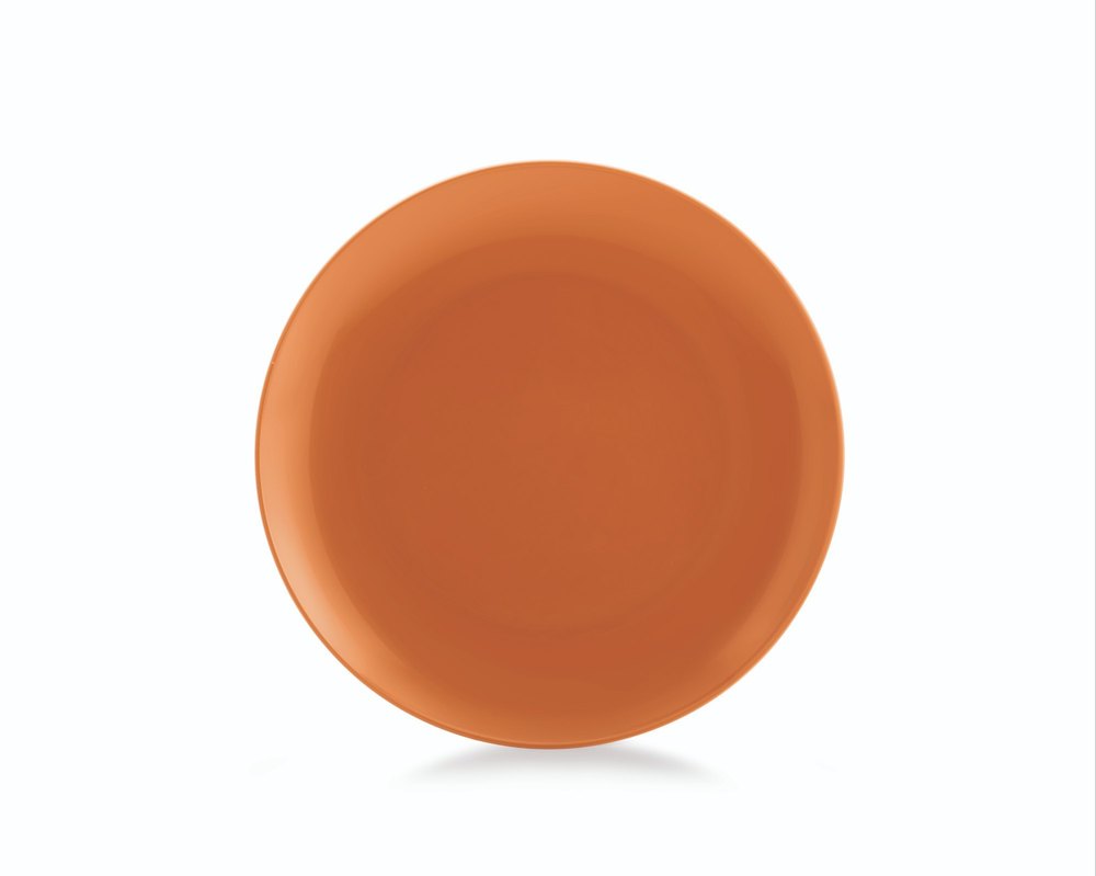 Plastic White Enrich Dinner Plate-Small Round(Set Of 6) DP-250, For Hotel
