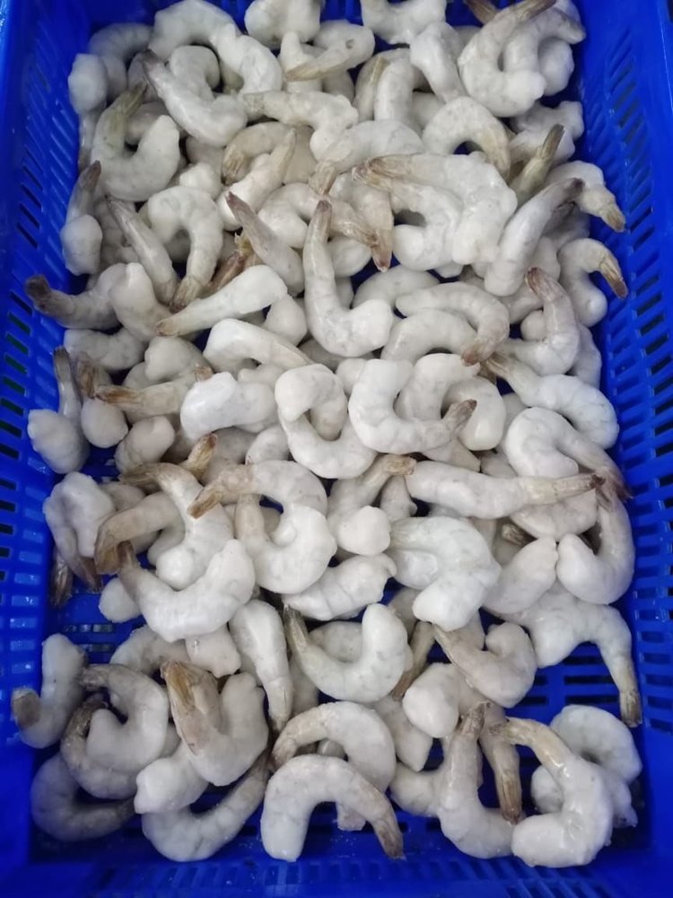 White Frozen Prawn, -18 Degree C
