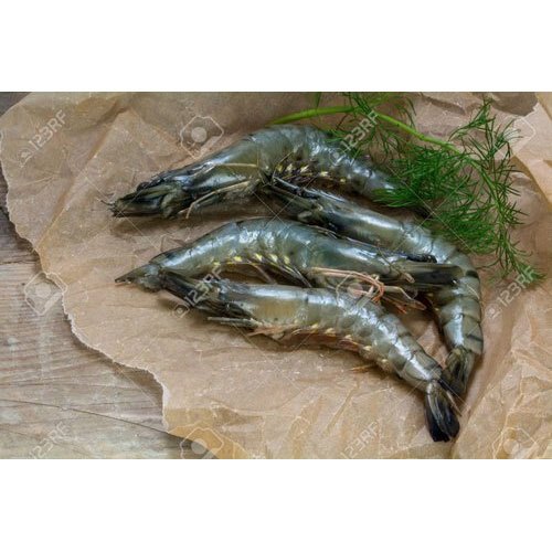 Frozen Black Tiger Prawns, Packaging Type: Thermocol Box