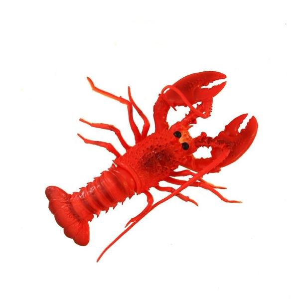 Red Lobster, Packaging Type: Thermocol Box, For Mess, Home And Restaurant