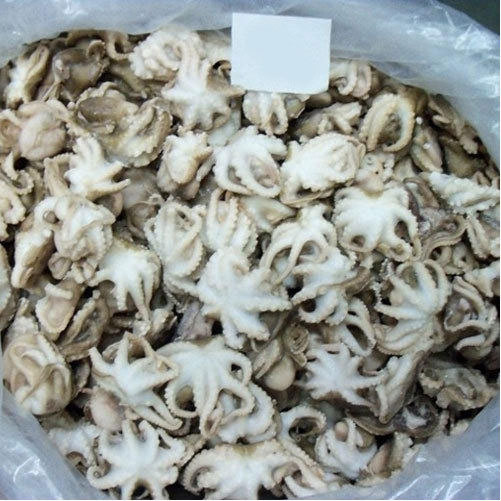 Frozen Octopus, For export, Packaging Type: cartons