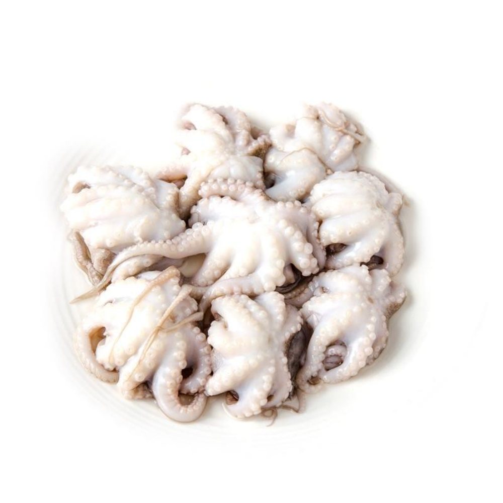 Frozen Octopus Whole Cleaned, Packaging Type: transparent