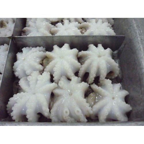 Frozen Octopus, Packaging Type: Thermocol Box