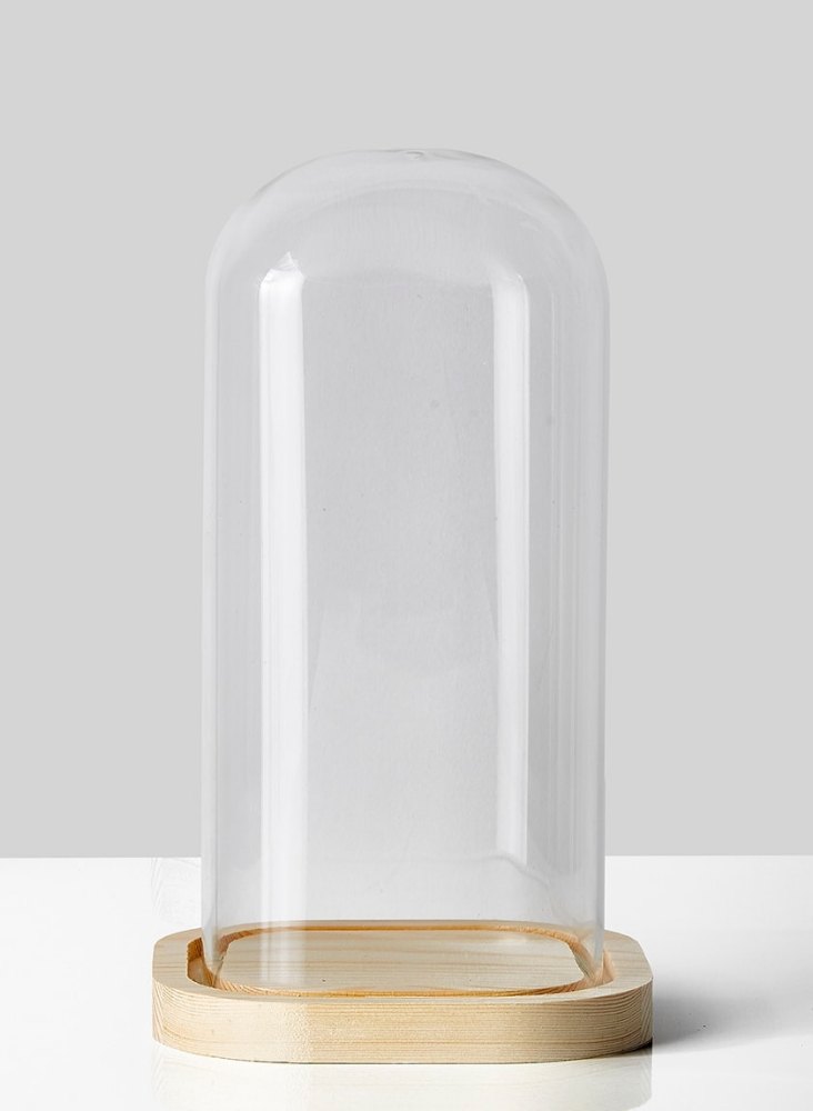 Transparent Square Dome