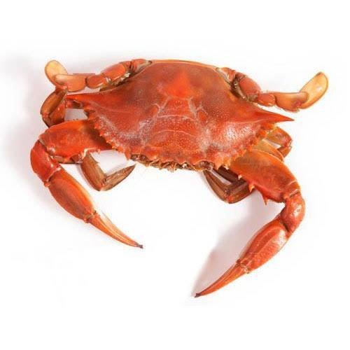 Frozen Crab Meat, 20 Kg, Packaging Type: Thermocol Box