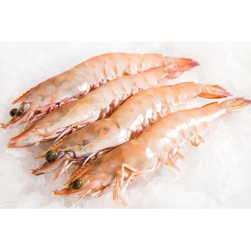 Fresh Prawn Fish, for Restaurant, Packaging Type: Thermocol Box