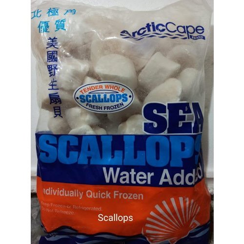 Scallops Sea Frozen, Packaging Type: Packet