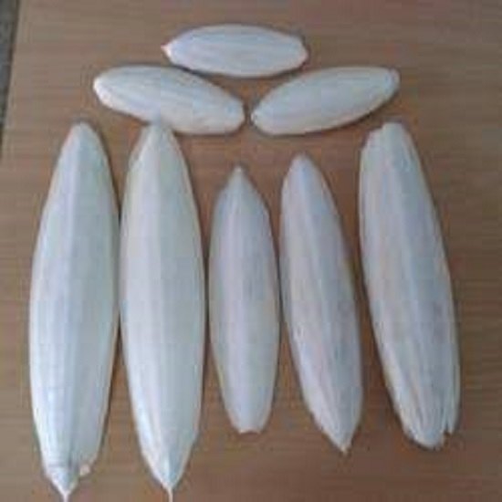 Eklavya White Cuttle Fish Bone, For Feed, Packaging Type: Bag