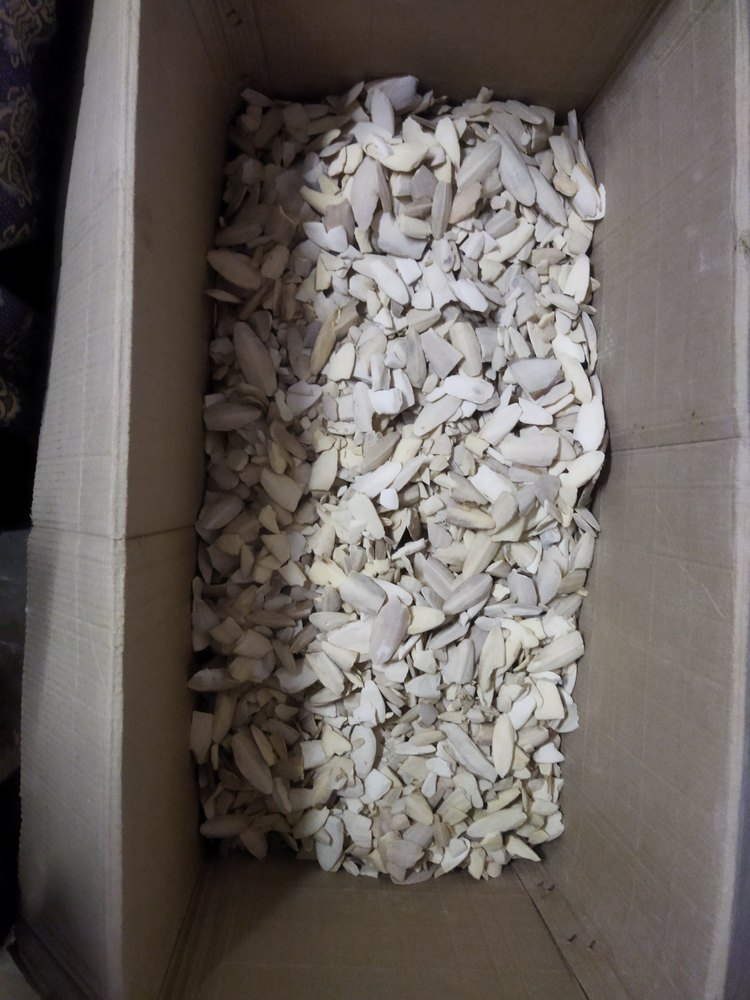 Super Natural White Cuttle Fish Bone, For Ayurvedic