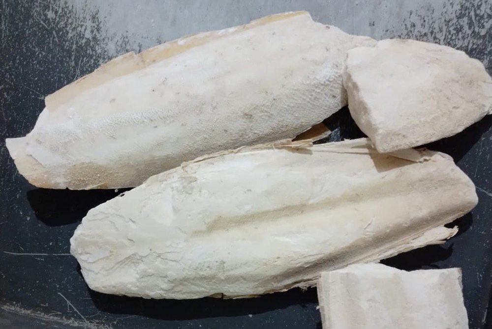 White Samudra Fen Cuttle Fish Sepia, For Dietary supplement for Birds, Packaging Type: Box