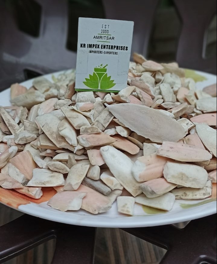White Samunder Fan - Samunder Jhaag - Sepiae Os - Cuttlefish Bone, Packaging Type: Packet